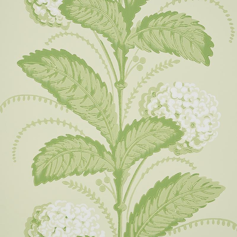 HYDRANGEA DRAPE_GREEN