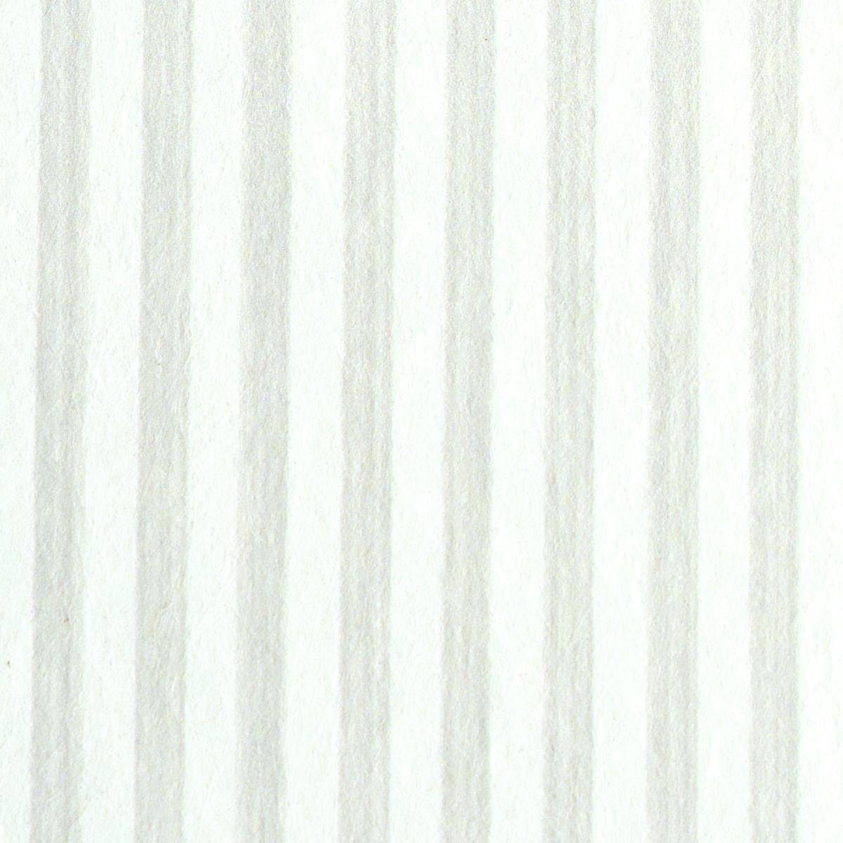 EDWIN STRIPE NARROW_BIRCH