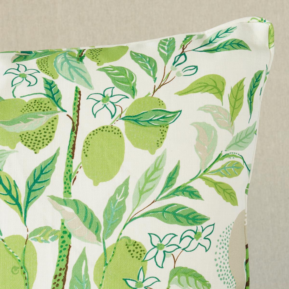 Citrus Garden Indoor/Outdoor Pillow_LEAF