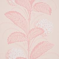 HYDRANGEA DRAPE_BLUSH