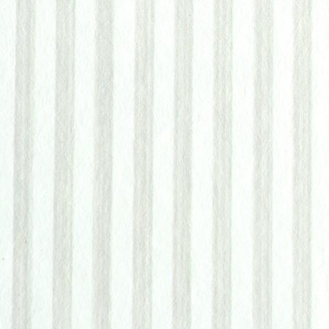 EDWIN STRIPE NARROW_BIRCH