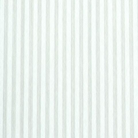 EDWIN STRIPE NARROW_BIRCH