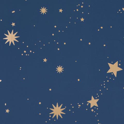 SCATTERED STARS_NIGHT